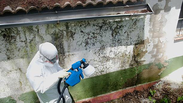 Top rated local Mold Remediation specialists in Caldwell, NJ